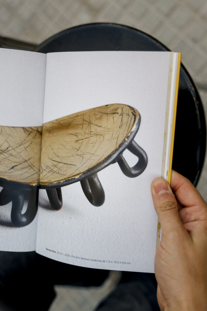 Foto © Aina Maria Cantallops Book Pere Plomer-17